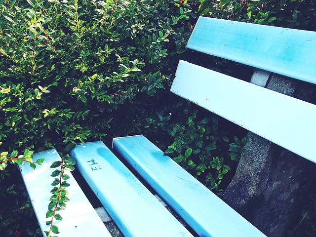 国际市场的 国际市场的