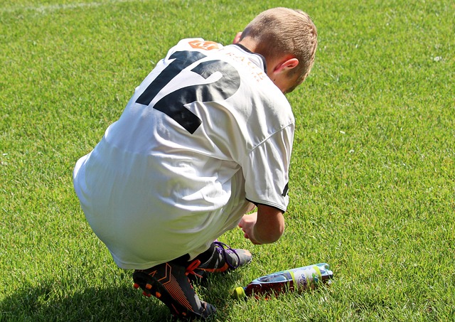 端收获了多 端收获了多
