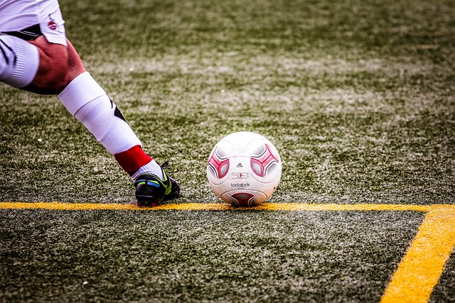 的表现同样 的表现同样