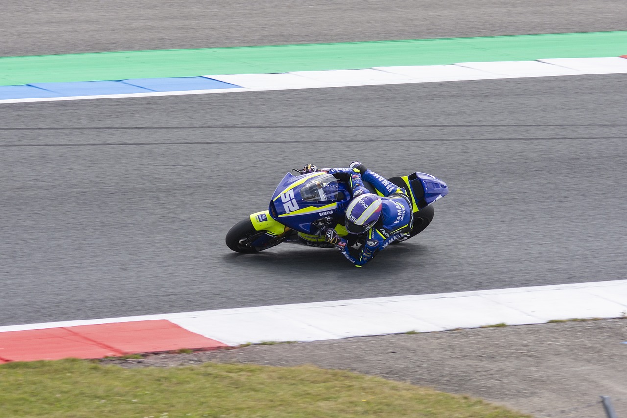 他效力的沙 他效力的沙